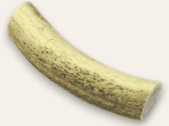 Stag Antler Roll - 6"