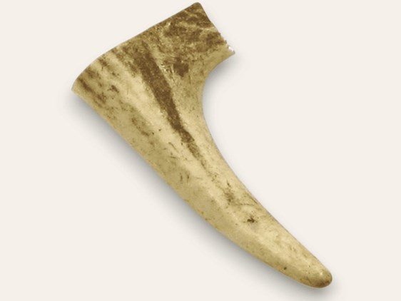 Stag Antler Tynes - Small