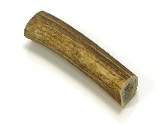 Stag Antler Roll - 3"