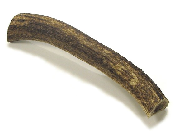 Stag Antler Roll - 9" Stag Antler Roll - 9"