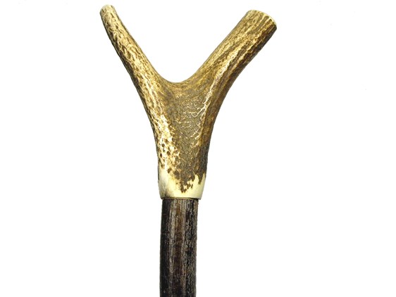 Y Shaped Thumb Stag Antler Walking Stick Y Shaped Thumb Stag Antler Walking Stick