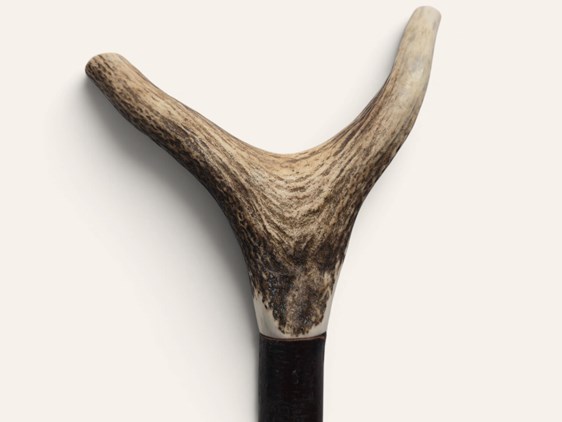 Y Shaped Thumb Stag Antler Walking Stick