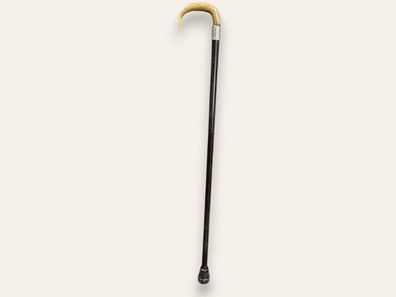 Walking Cane with Horn Handle | A10 Walking Cane with Horn Handle | A10