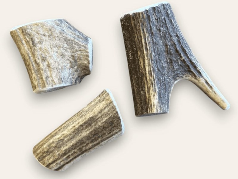 Dog Chew - Antler Piece - 30-50g Dog Chew - Antler Piece - 30-50g