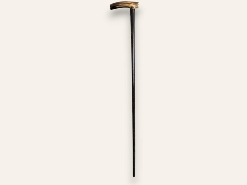 Horn Handle Walking Stick Horn Handle Walking Stick