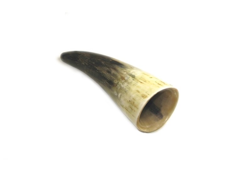 Rough Horn - 5" Rough Horn - 5"