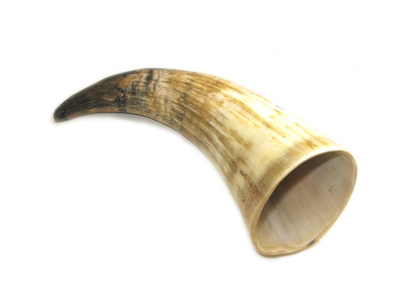 Rough Horn - 8"