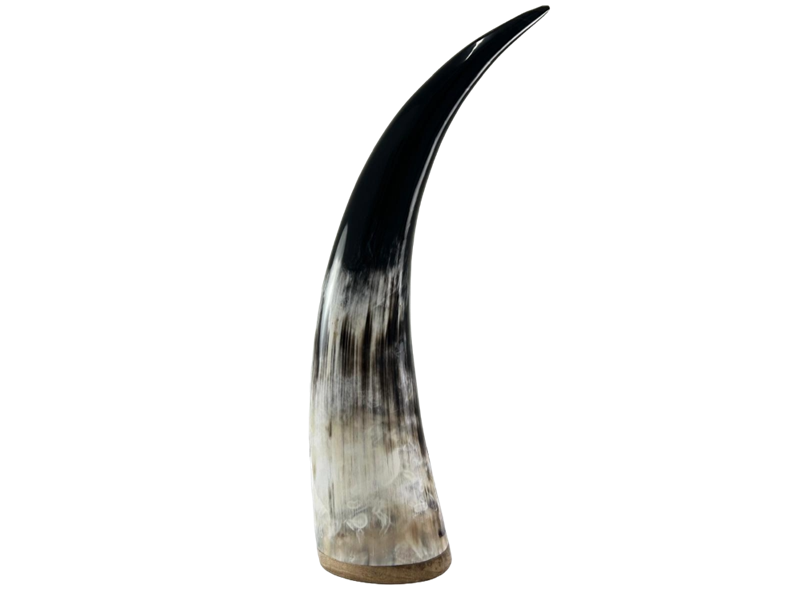 Polished Horn Ornament with Wooden Base - Small