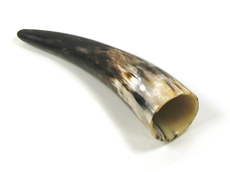 Polished Horn - 8"