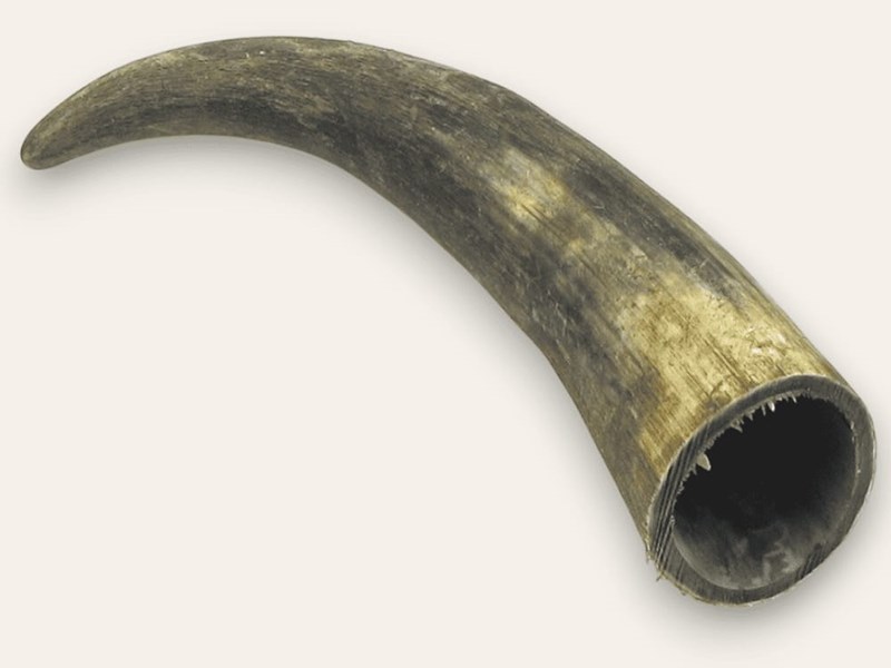 Raw Horn - 15" Raw Horn - 15"