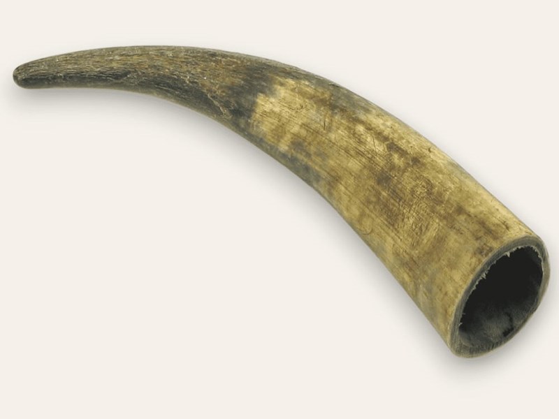 Raw Horn - 20" Raw Horn - 20"