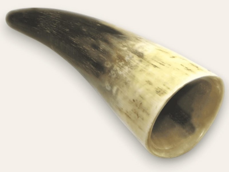 Rough Horn - 5" Rough Horn - 5"