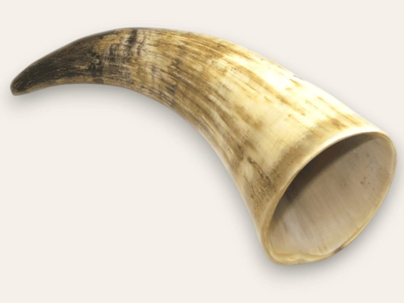 Rough Horn - 8" Rough Horn - 8"