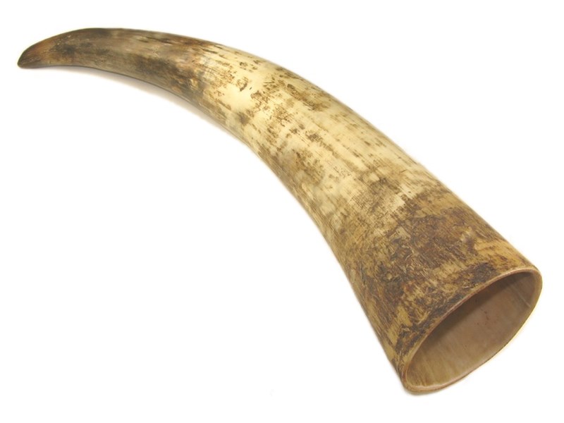 Rough Horn - 10" Rough Horn - 10"