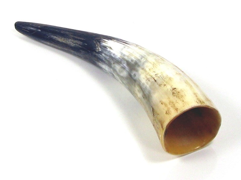 Rough Horn - 15" Rough Horn - 15"