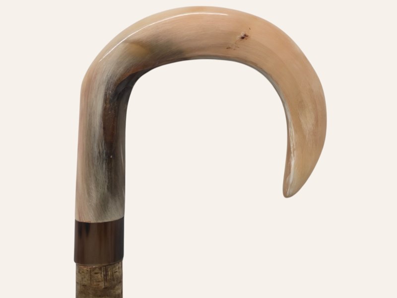 Rounded Crook Ramshorn Walking Stick Rounded Crook Ramshorn Walking Stick