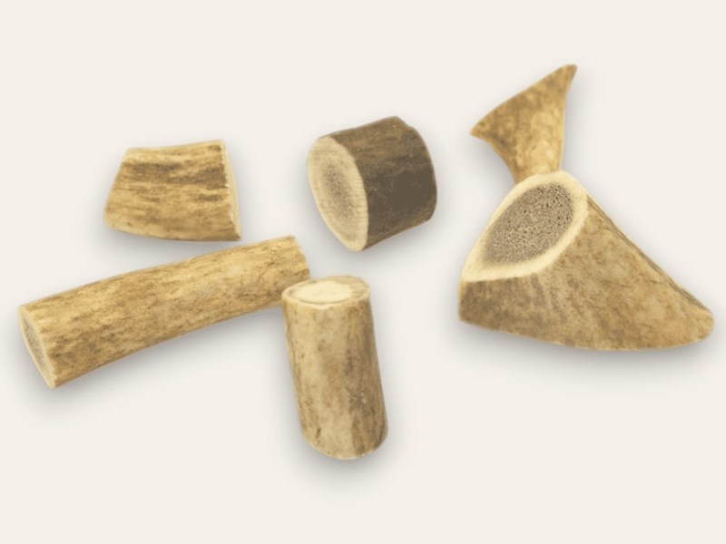 Stag Antler Bits - Small