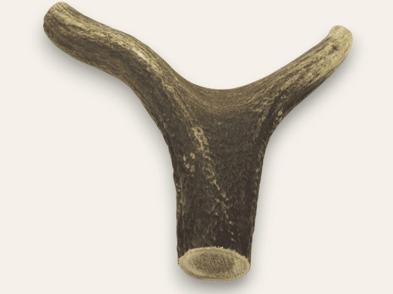 Stag Antler Handle - Y Shaped