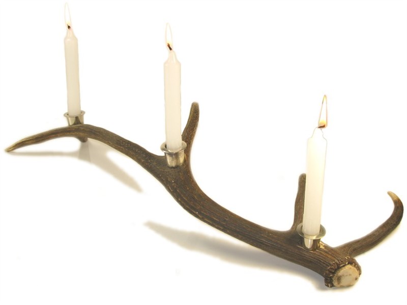 Stag Antler Candle Holder