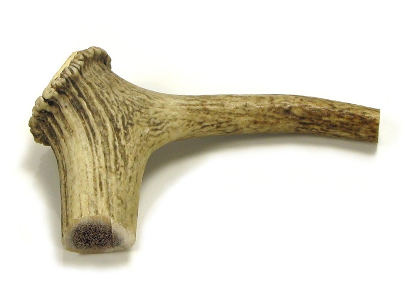 Stag Antler Handle - Hook Stag Antler Handle - Hook