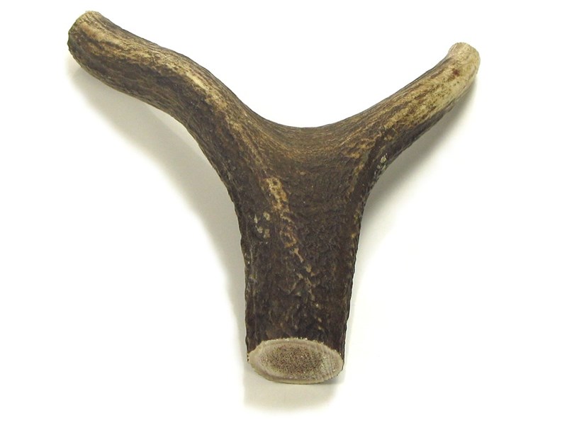 Stag Antler Handle - Y Shaped Stag Antler Handle - Y Shaped