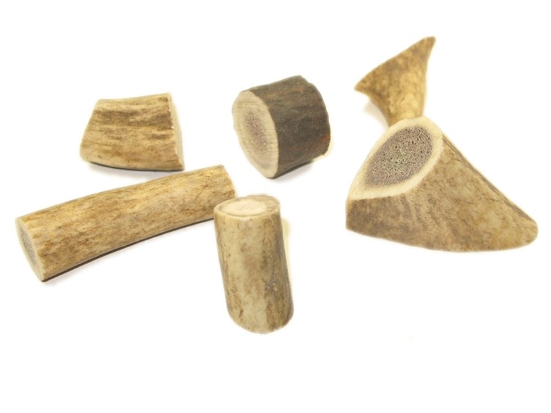 Stag Antler Bits - Small