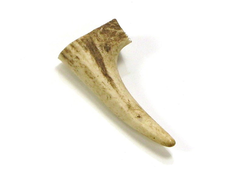 Stag Antler Tynes - Small