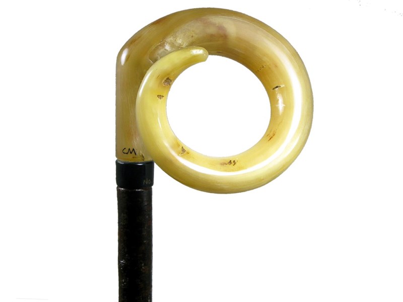 Curly Ramshorn Walking Stick Curly Ramshorn Walking Stick