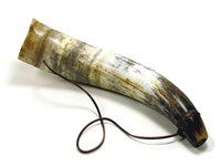 Cow Horn Bugle - Medium
