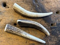 Dog Chew - Antler Tip - 30-35g