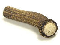 Stag Antler Handle - Crown