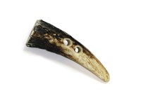 Toggle - Stag Antler