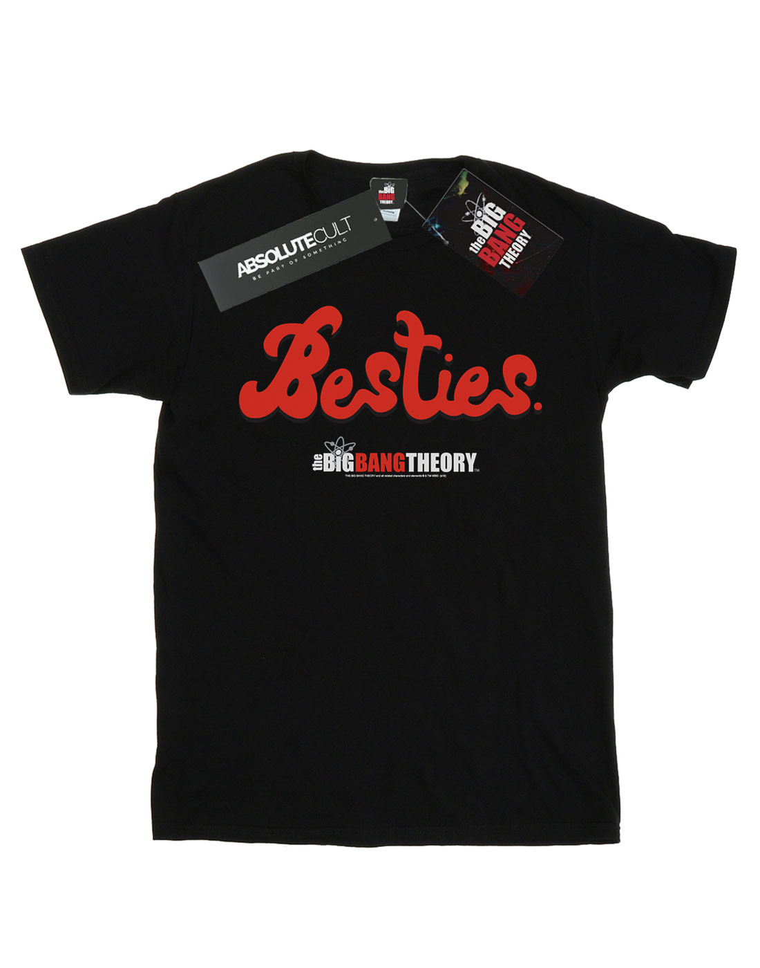 The Big Bang Theory Herren Besties Text T-Shirt - Bild 5 von 7