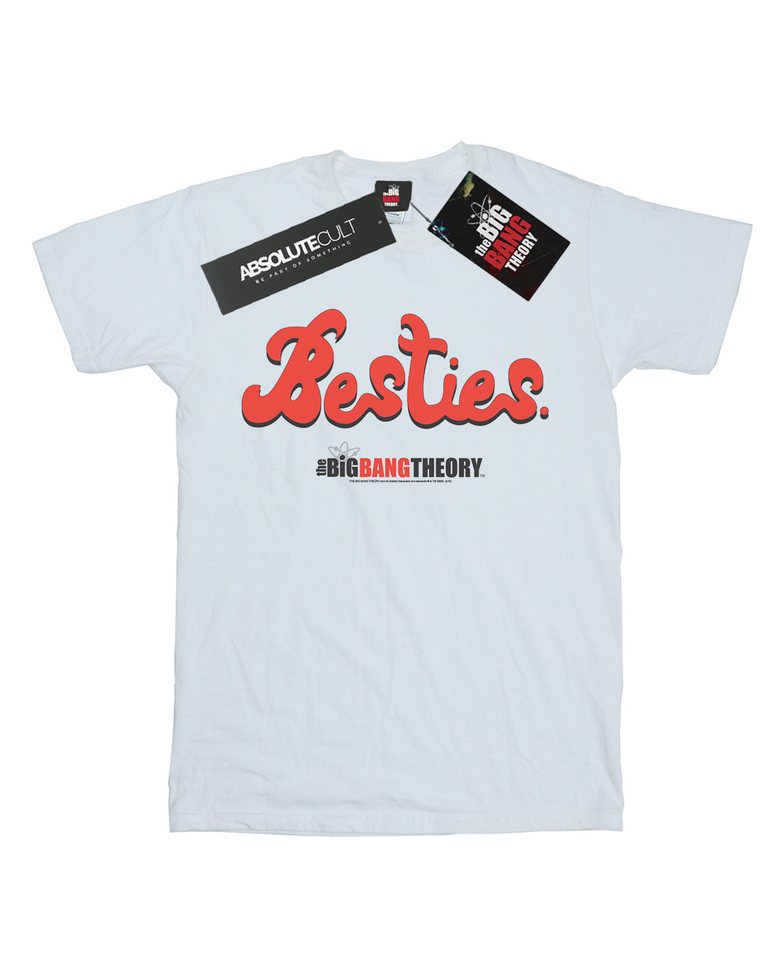 The Big Bang Theory Herren Besties Text T-Shirt - Bild 7 von 7