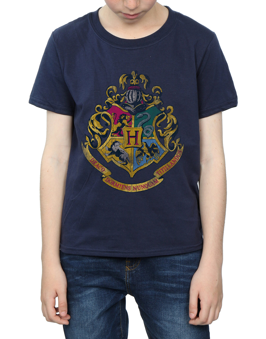 Harry Potter Boys Hogwarts Distressed Crest T-Shirt