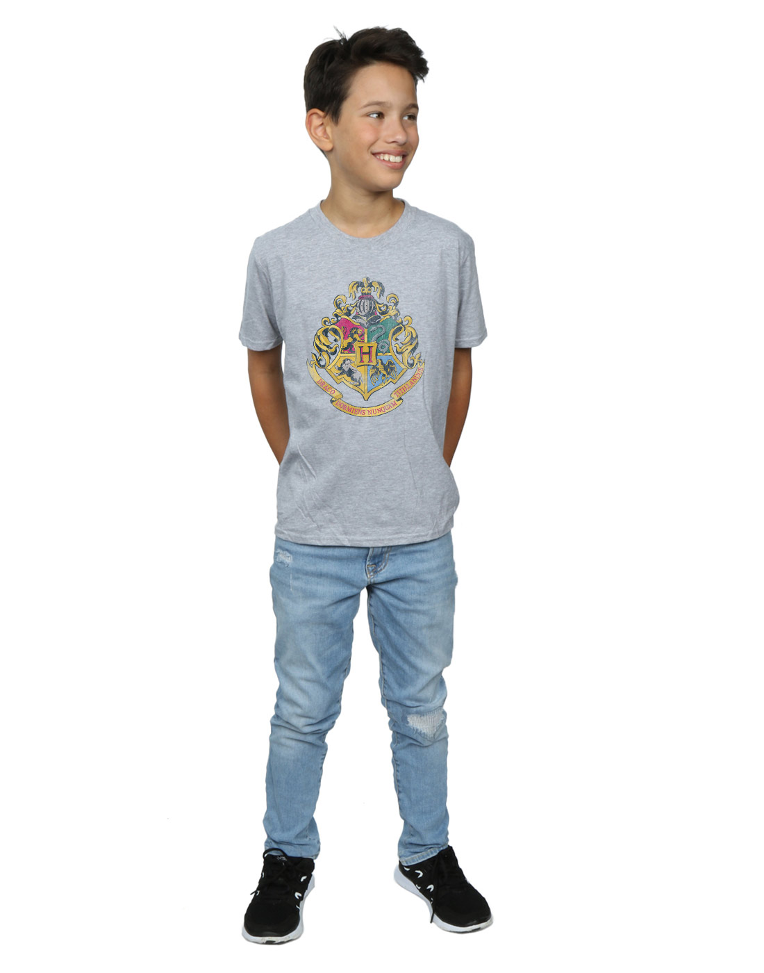 Harry Potter Boys Hogwarts Distressed Crest T-Shirt