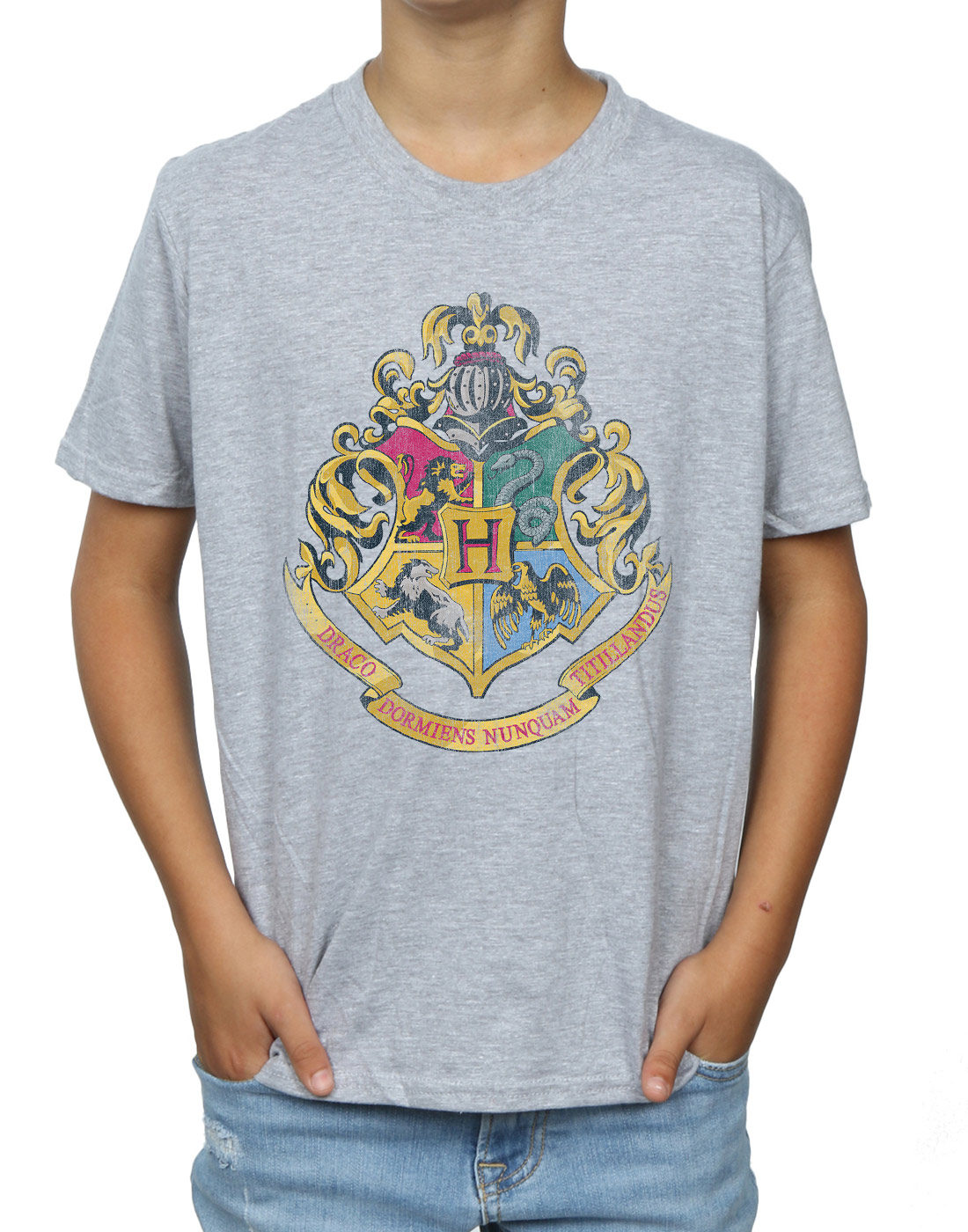 Harry Potter Boys Hogwarts Distressed Crest T-Shirt