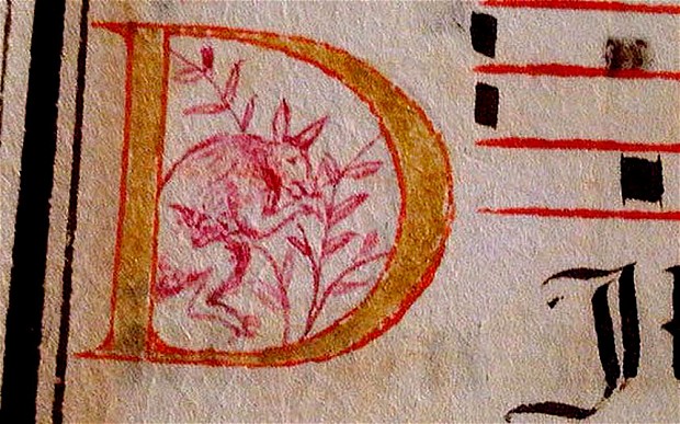 Manuscrito-kanguru.jpg