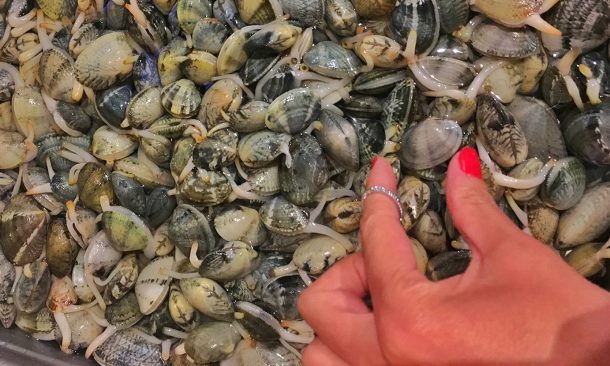 pesqueiro25_cais_do_sodre_acidadenapontadosdeodos_sanchatrindade22