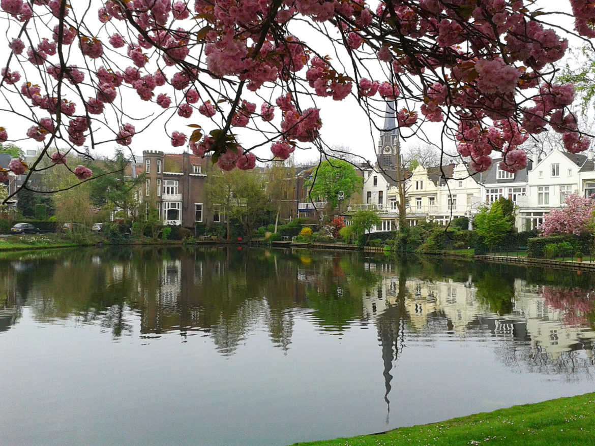 A City Made By People Rotterdam Kralingen Neighbourhood11