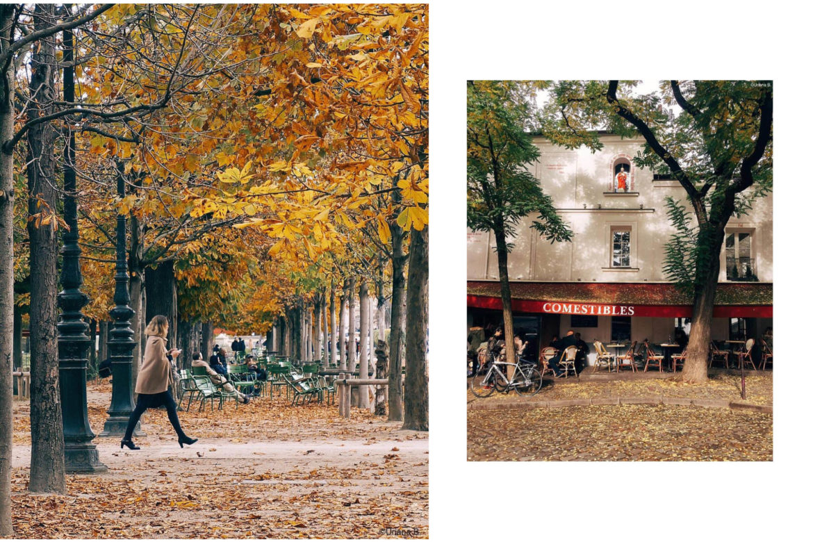 Acmbp Paris Welcome City Of Lights 3
