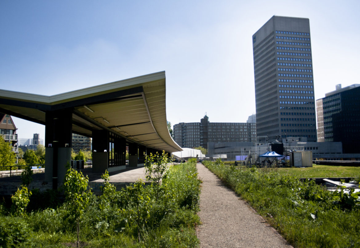 Acmbp Rotterdam Hofbogen 19