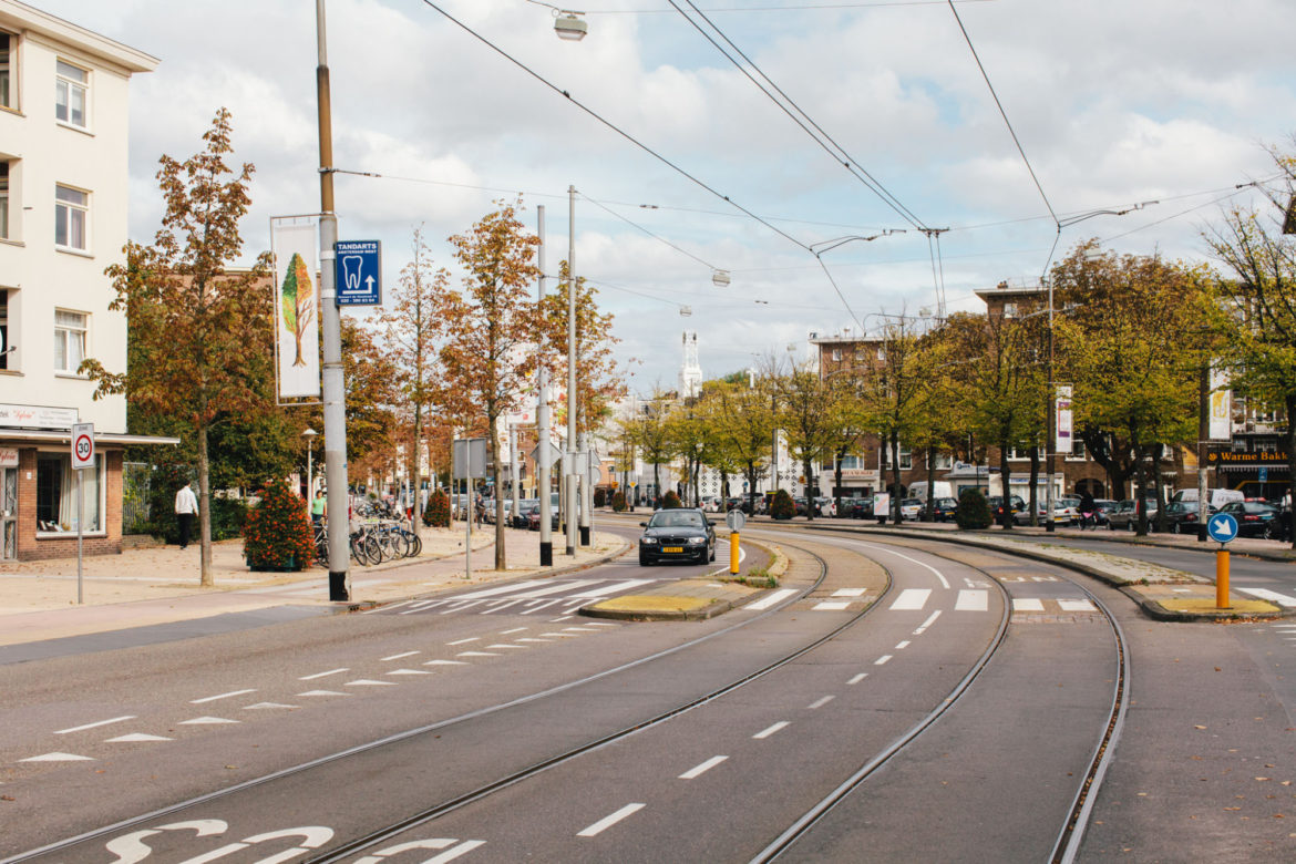 Citinerary X On A Hazy Morning Town Talk Bos En Lommer Amsterdam Landscape 10