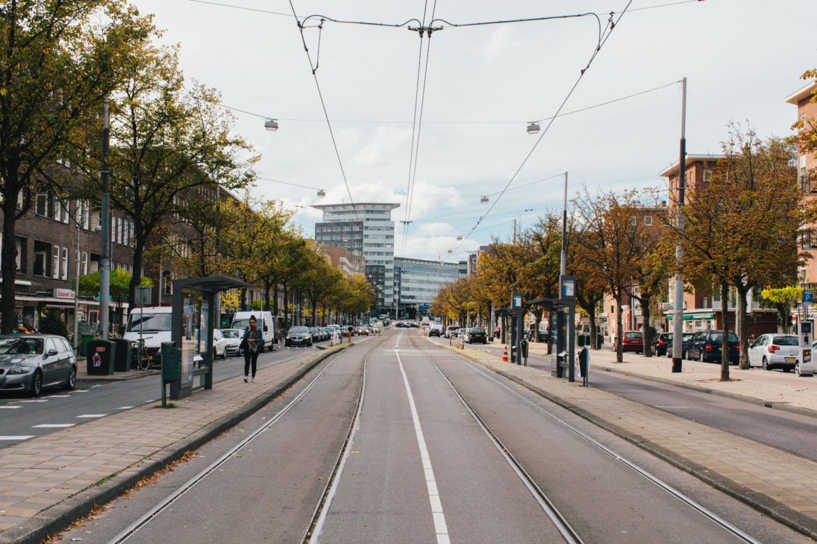 Citinerary X On A Hazy Morning Town Talk Bos En Lommer Amsterdam Landscape 11