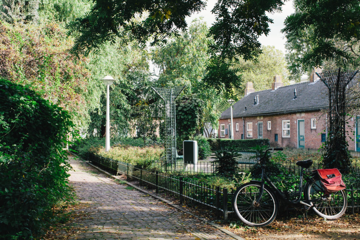 Citinerary X On A Hazy Morning Town Talk Bos En Lommer Amsterdam Landscape 15