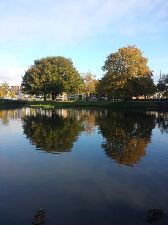 A City Made By People Rotterdam Kralingen Neighbourhood3
