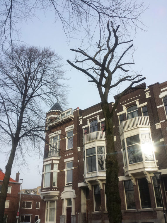 A City Made By People Rotterdam Kralingen Neighbourhood4