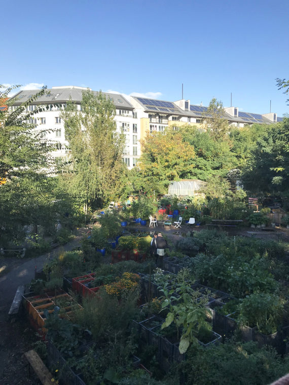 Acmbp Berlin Urban Gardening1