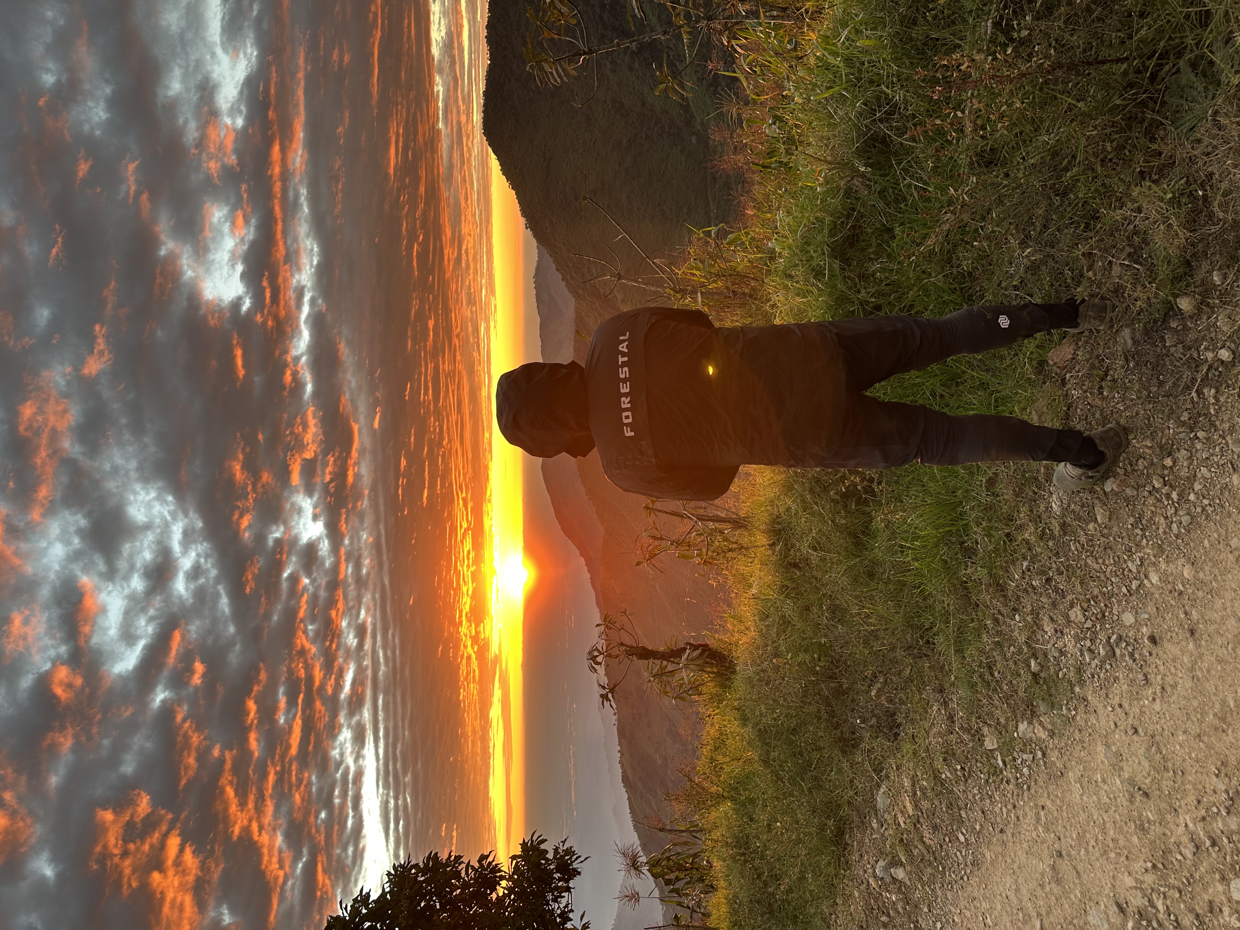 From Volcano to Jungle