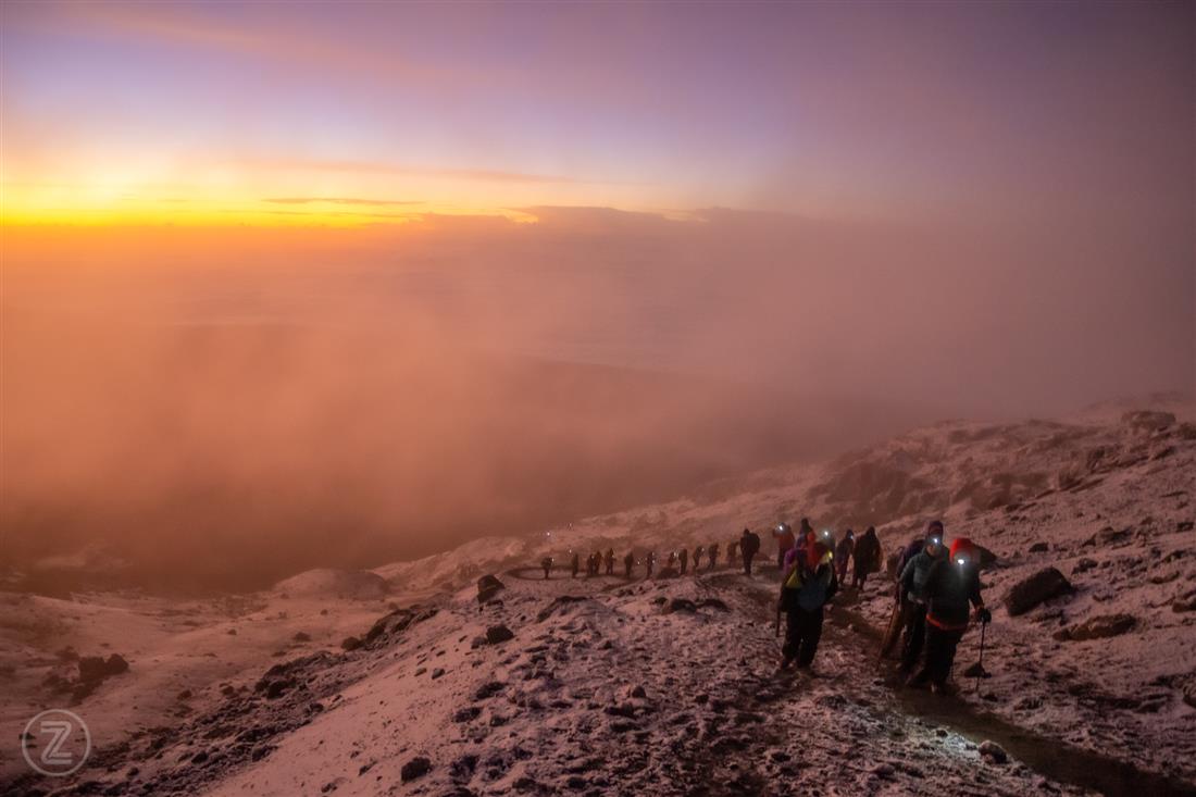 Activity Banner
